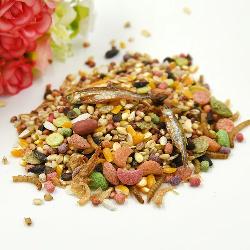 Wholesale Amazon Hot Selling Pure Natural High Nutrition Hamster Food Snacks