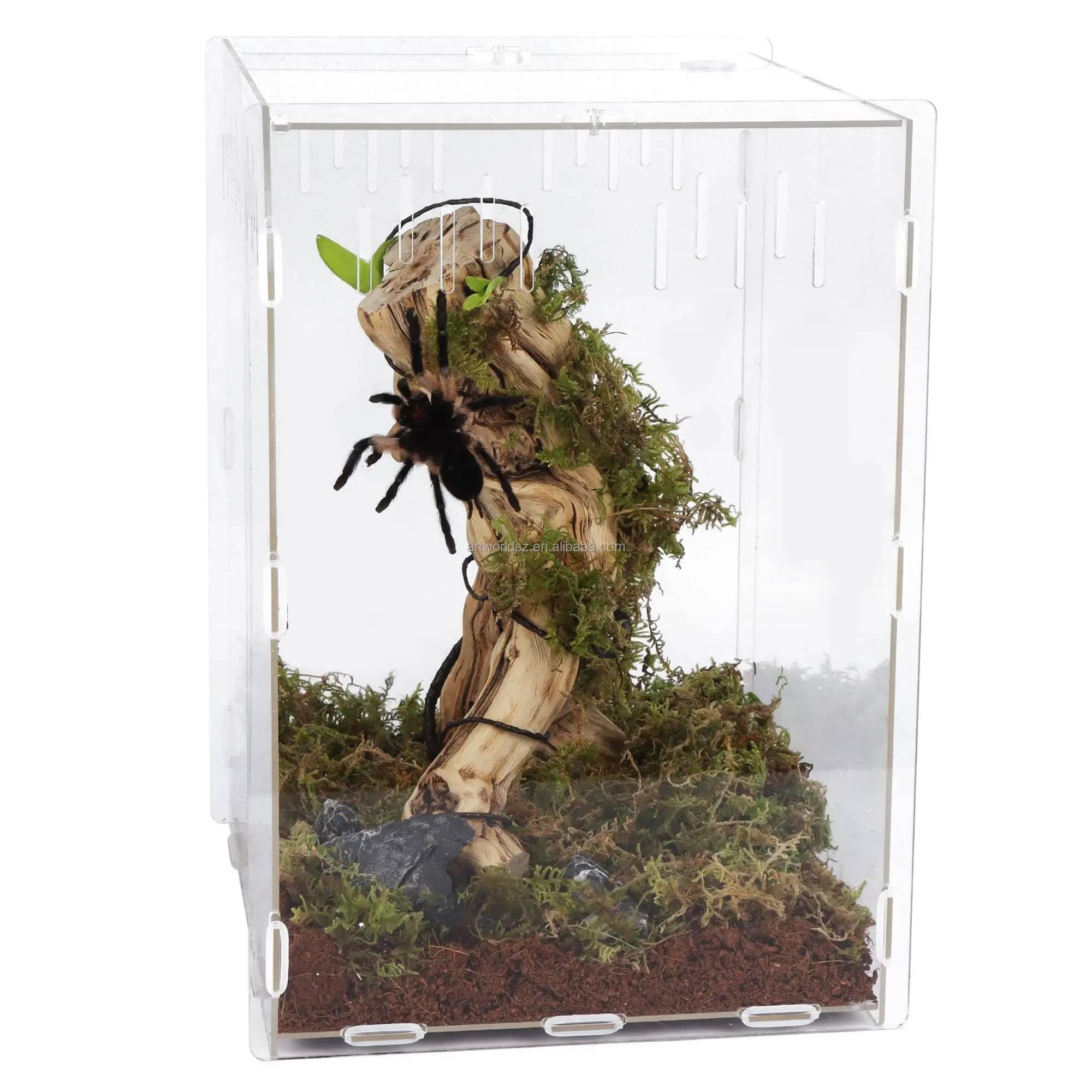 Reptile Breeding Box Terrarium Cage for Insect Tarantulas Amphibians Caterpillars Snail Clear Acrylic Reptile Feeding Box