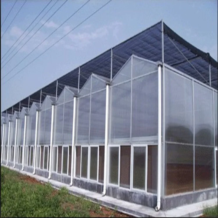 Multi-span Greenhouses Green Houses Agriculture Commercial Greenhouse Frame