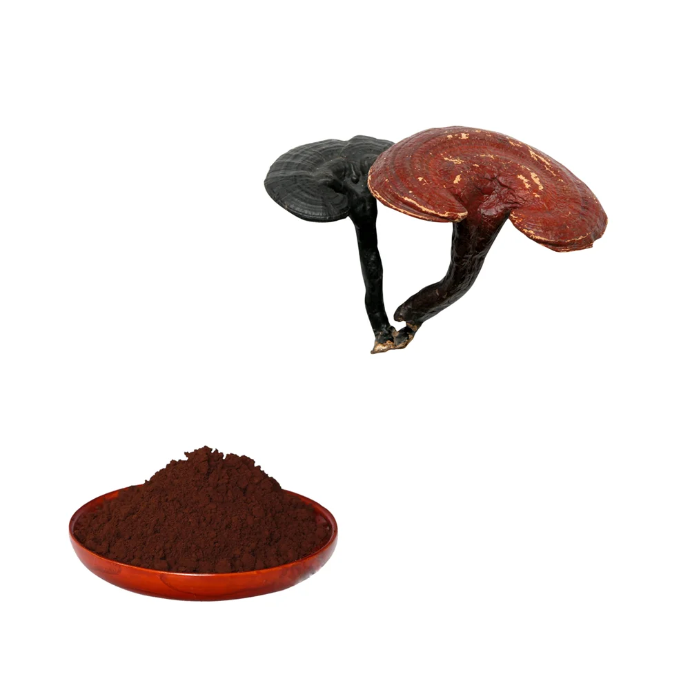 
Food grade grind straight extract lingzhi 50% polysaccharides 5% triterpene organic ganoderma lucidum reishi mushroom powder 