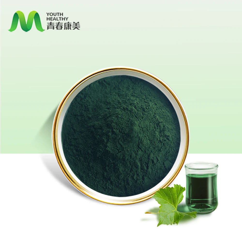 Youth Supply Hot Selling Food Grade Chlorophyll Powder