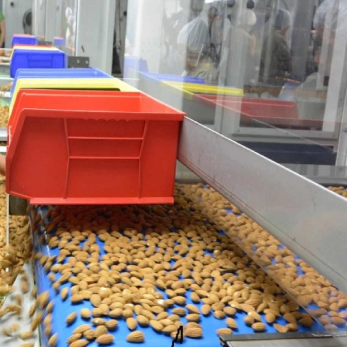 Natural Sweet American Almonds 20/22 Dry and Raw Fruits Almond Dried Wholesale Price in California