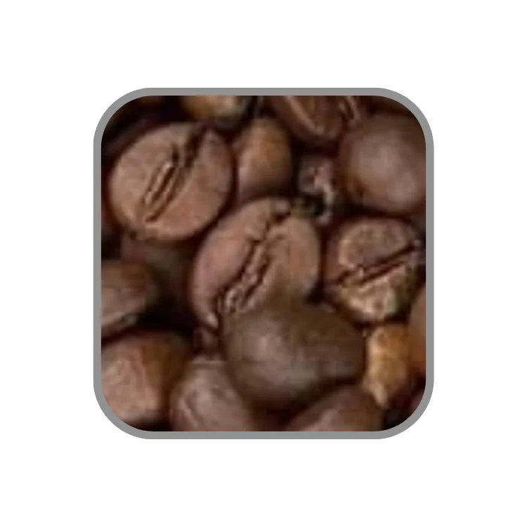 Roasted Arabica Reasonable Price Ground Coffee Organic Coffee Oem Service Vietnamese Coffee Beans Manufacturer Wholesale