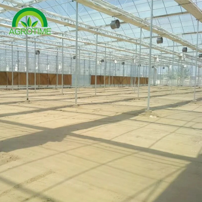 Multi Span Greenhouse Polycarbonate Hydroponics Greenhouse Tunnel