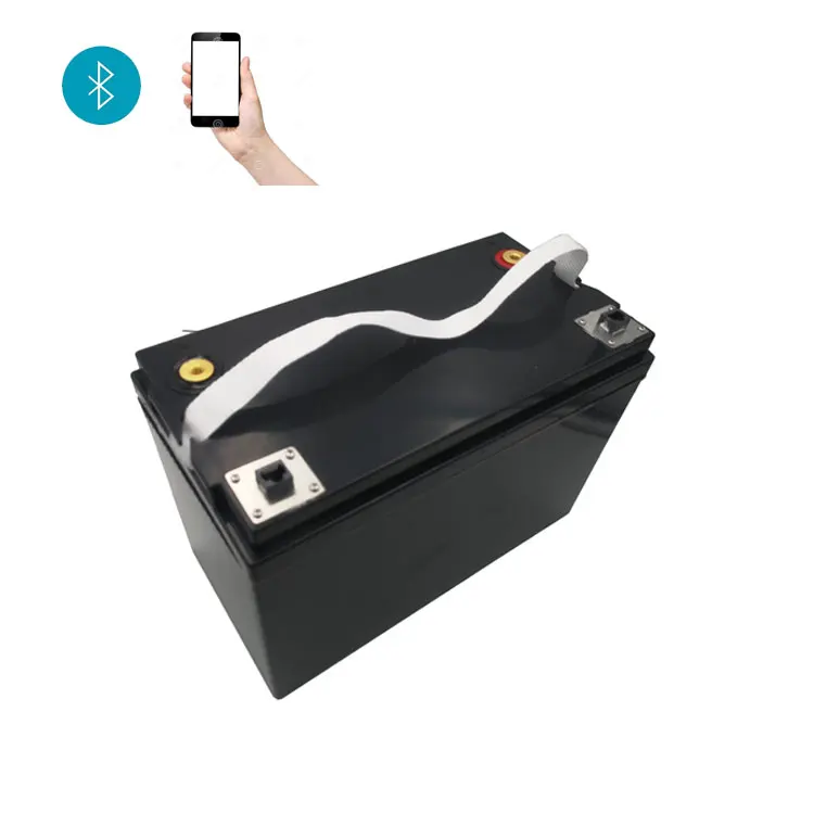 LFP Solar Battery 12v 200ah 24v 100ah Lifepo4 Battery Lithium ion Battery 2.4kwh for Solar Energy Storage System