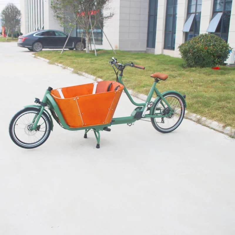 Electric Cargo Bikes 2 wheels cargo bike electric ebike e-cargo family e bicycle Cargo Bafang M600 M620  Motor