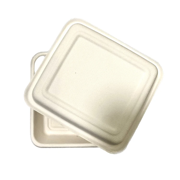 Customized Green Fast Food Tray Pulp Tableware 9 Inch 100% Compostable Biodegradable Disposable Bagasse