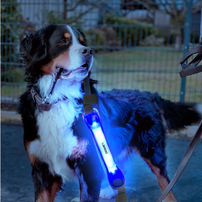 Night Walking Pet Safety Luminous Silicone Led Light Belt For Dog Collar Leash with Nylon Stickers