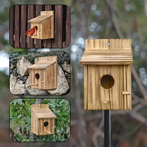 Custom carbonized pine solid wood feeding terrace outdoor sanctuary aviaries for birds aviary outdoor bird cage bird aviary