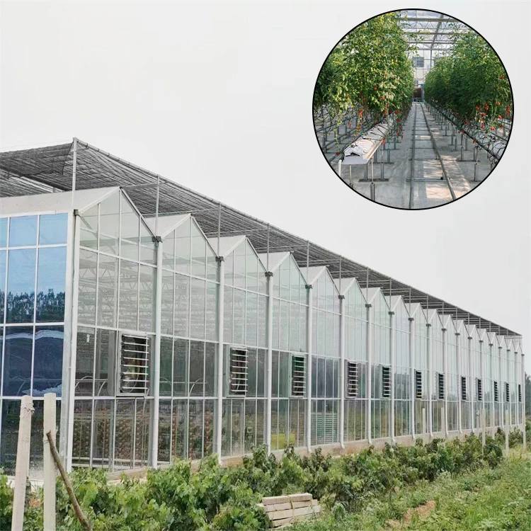 tomato planting Commercial polycarbonate Green House metal frame glass Greenhouse Agricultural Greenhouses For Sale