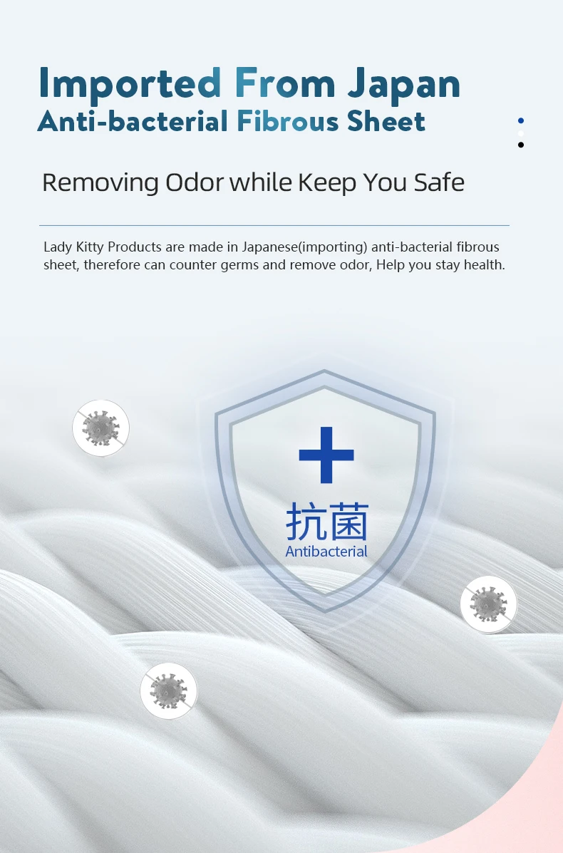 Lady Kitty Women Sanitary Pads Underwear Ultra Thin Nice Packaging Sanitary Napkin With CE Certificate