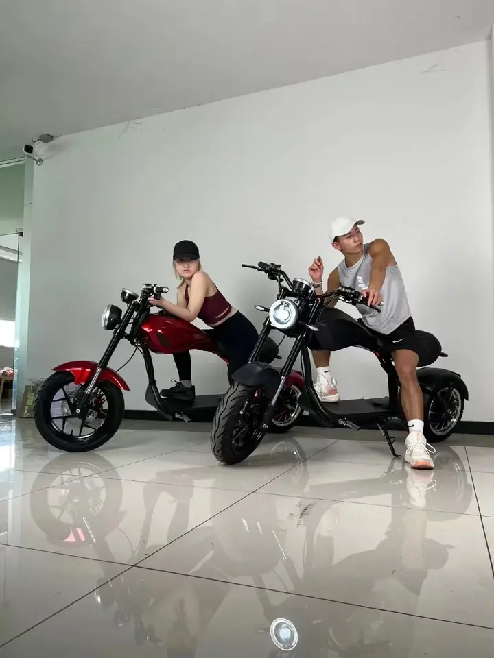 lithium battery pack for citycoco electric scooter 60v 30ah 2020w with bluetooth off road