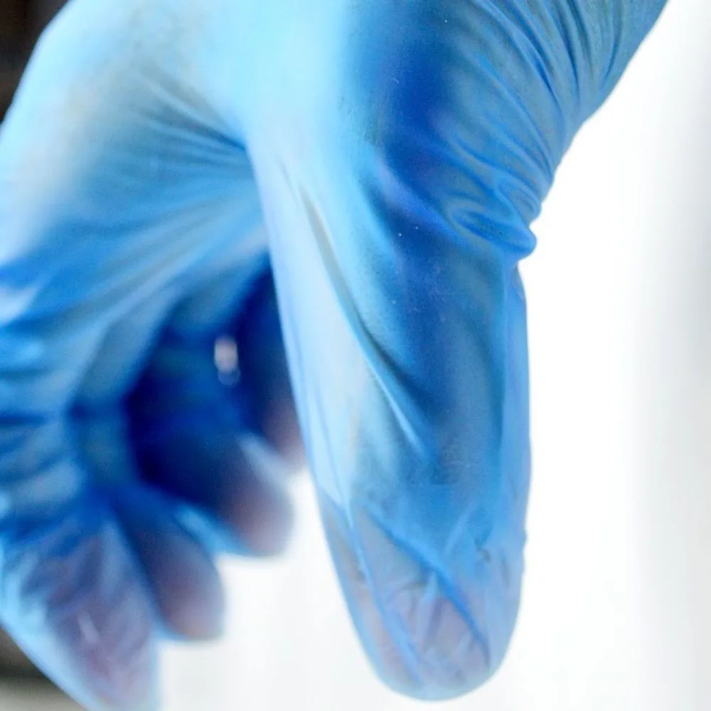 Disposable Vinyl Glovees Powder Free PVC Latex Free Vinyl Glovees AQL1.5 Wholesale