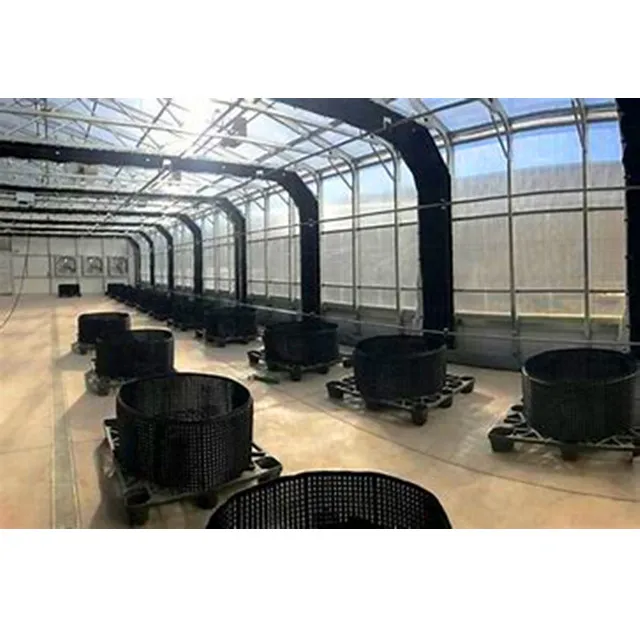 Commercial Used Blackout Greenhouse With Auto Light Deprivation System For Growing Hemp/Herbs