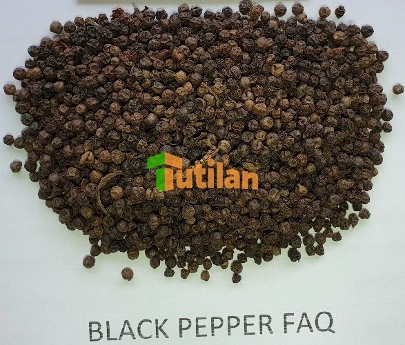 Лидер продаж от производителя без ГМО натуральный Вьетнамский черный перец 550GL 500GL