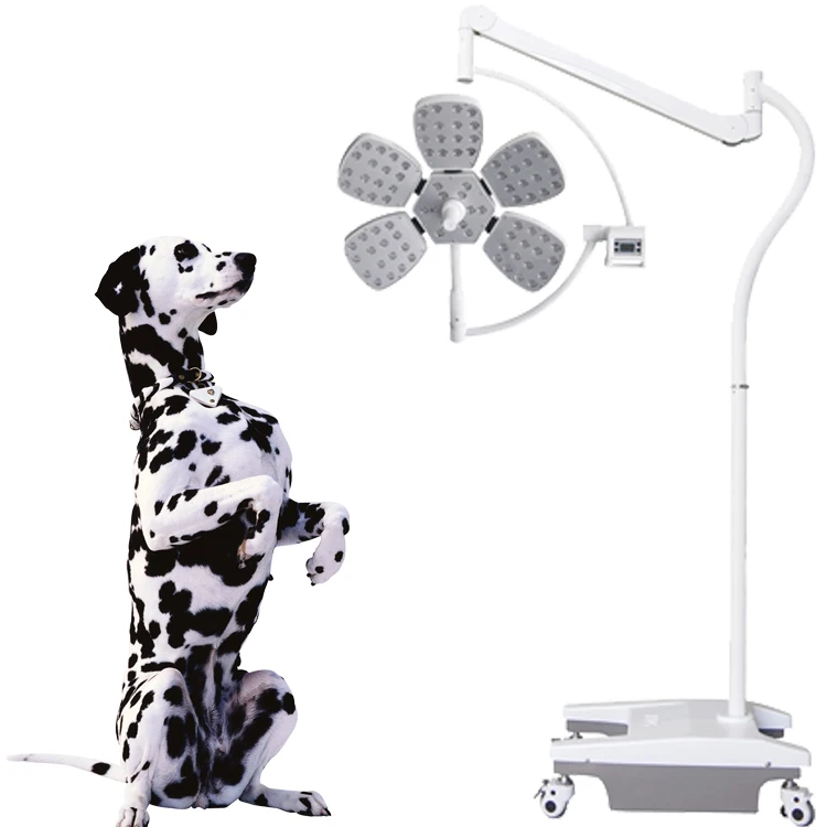 Stand Type Surgical Operation Mobile LED Examination Lamp LED Shadowless Medical Lamp Operating Lights