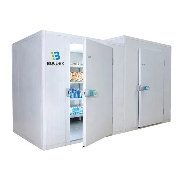 Germany technology CBU/CKD/SKD customized Cold Room for Food and Drug chiller room freezer storage room