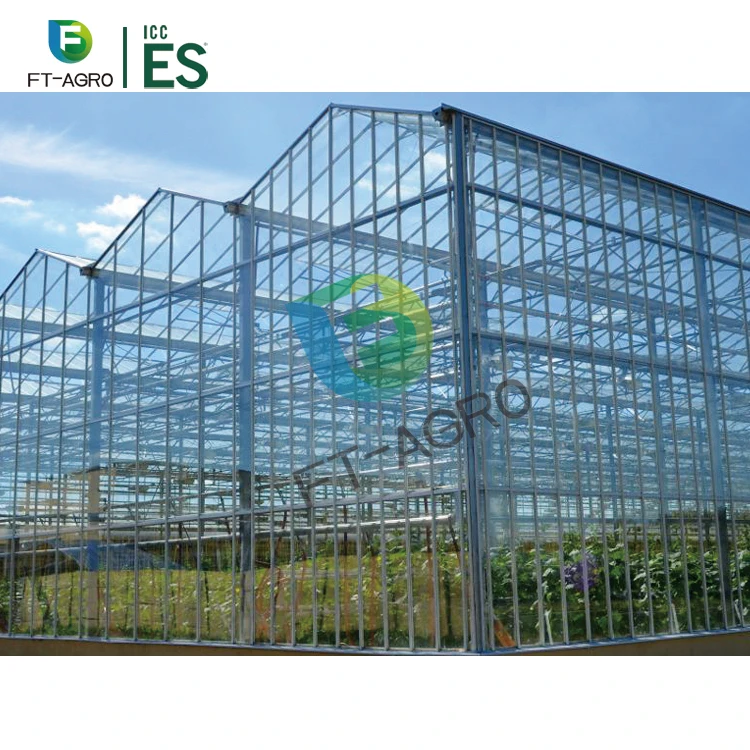9984  Tomato Planting Tempered Glass Greenhouse With Complete System