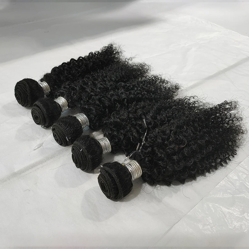 Wholesale Packet Hair with Closure #1B One Pack Solution Human Hair Bundles Kinky Curly Human Hiar Extension
