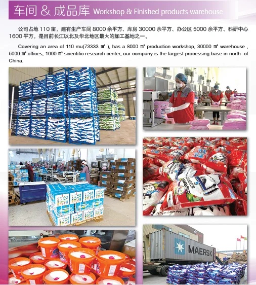 OEM High Foam Washing Powder Good Quality Laundry Detergent
