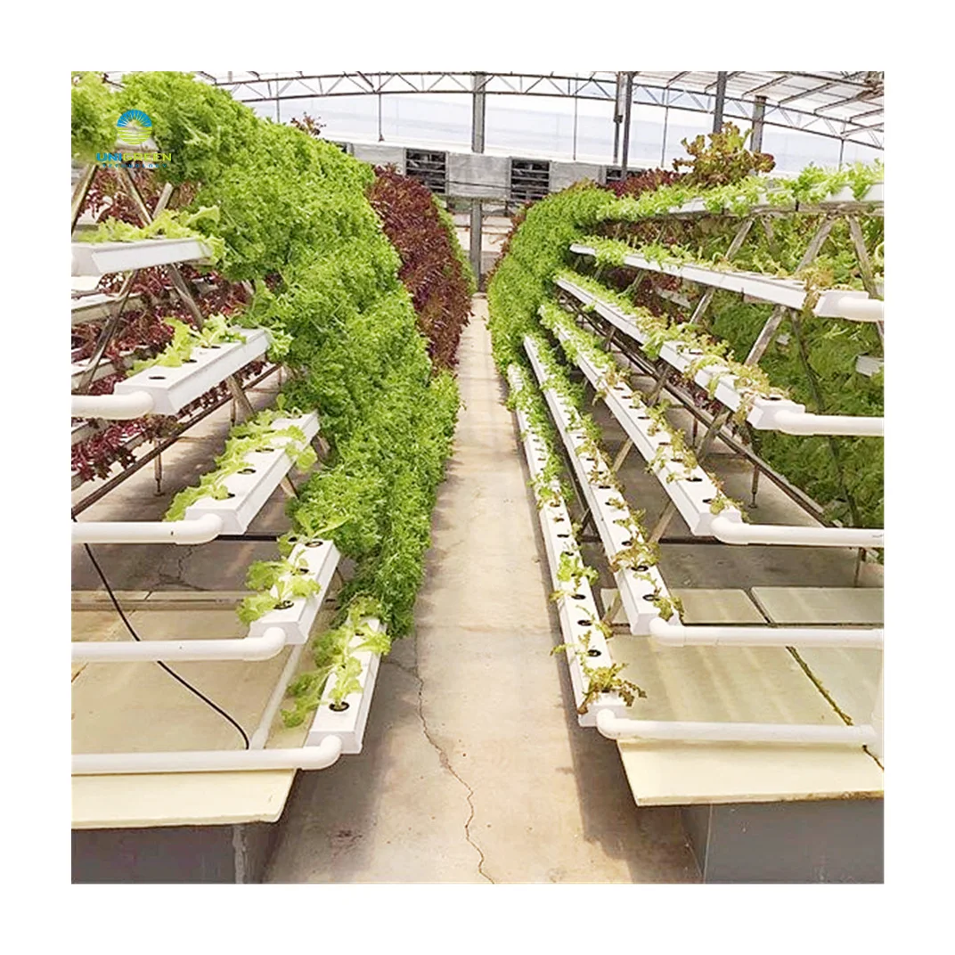 Greenhouse Planting A-frame Hydroponic Growing System Flat Pipe Agriculture Type A Hydroponics Grow Kit Systems