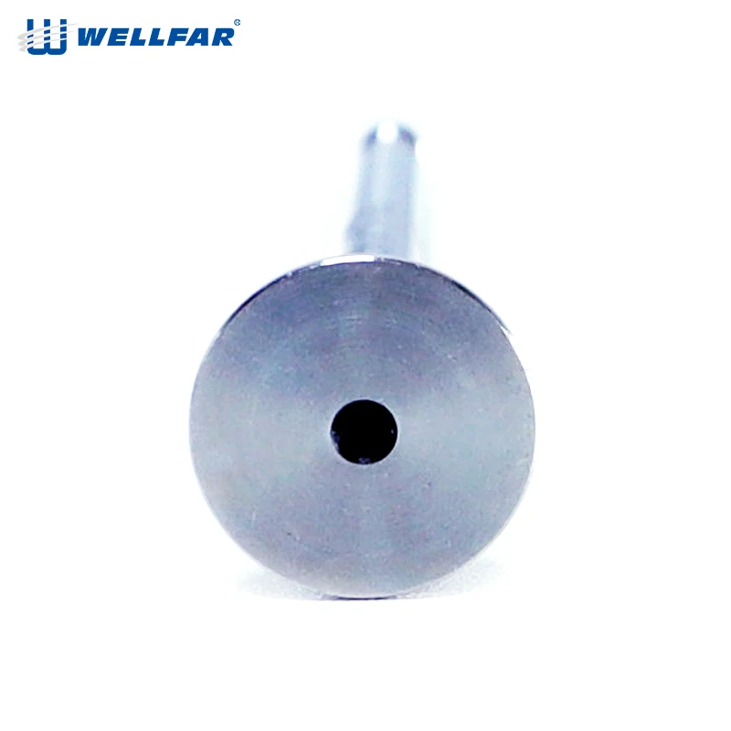 High Quality Exhaust valve  Engine Valve for Fiat