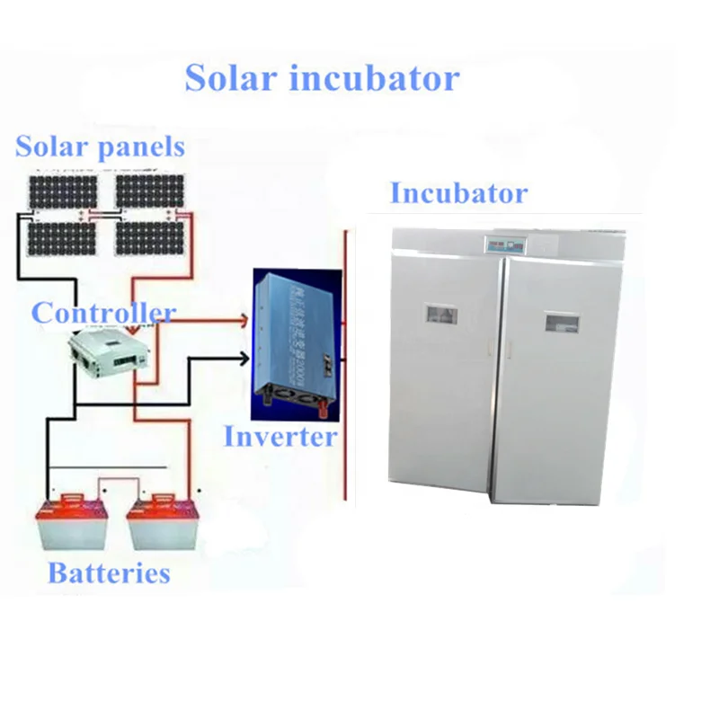 6336pcs full automatic solar energy poultry egg incubator made in china