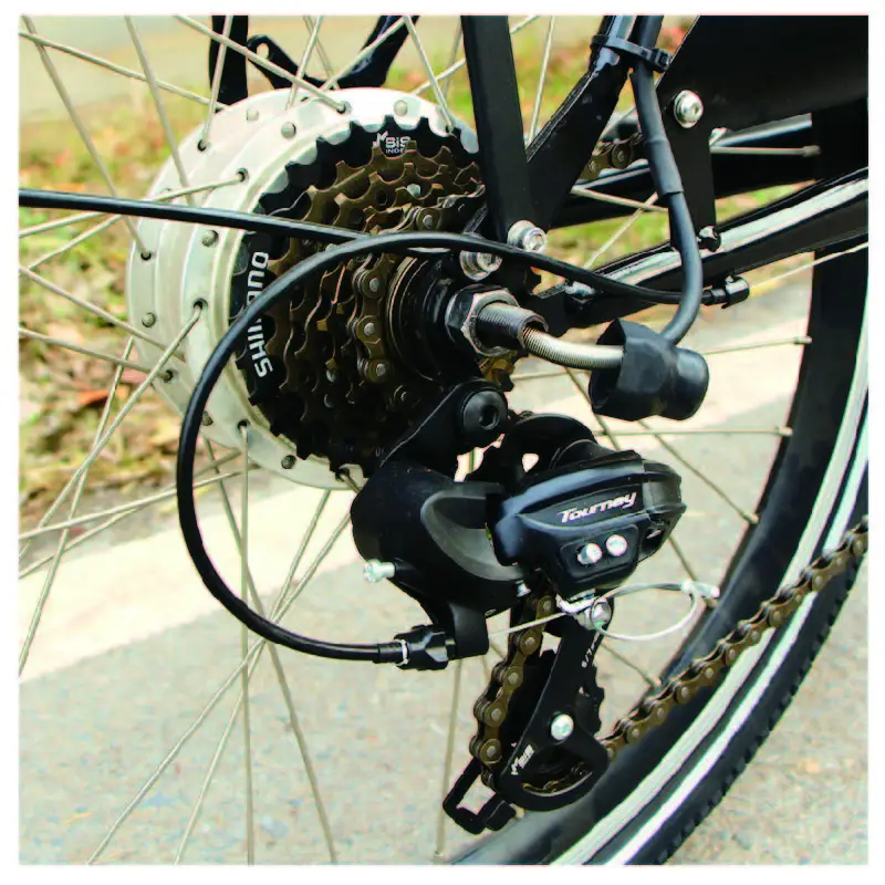 Chinese supplier 2 wheel cargo bike electric with 250W rear hub- motor for sale