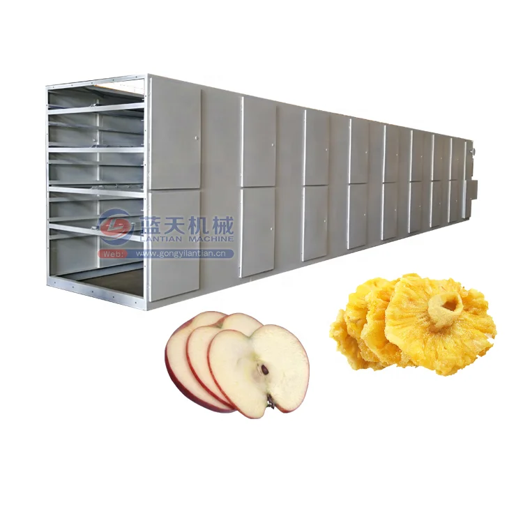 
Mango Dryer And Grape Raisin Fruit Drying Machine 