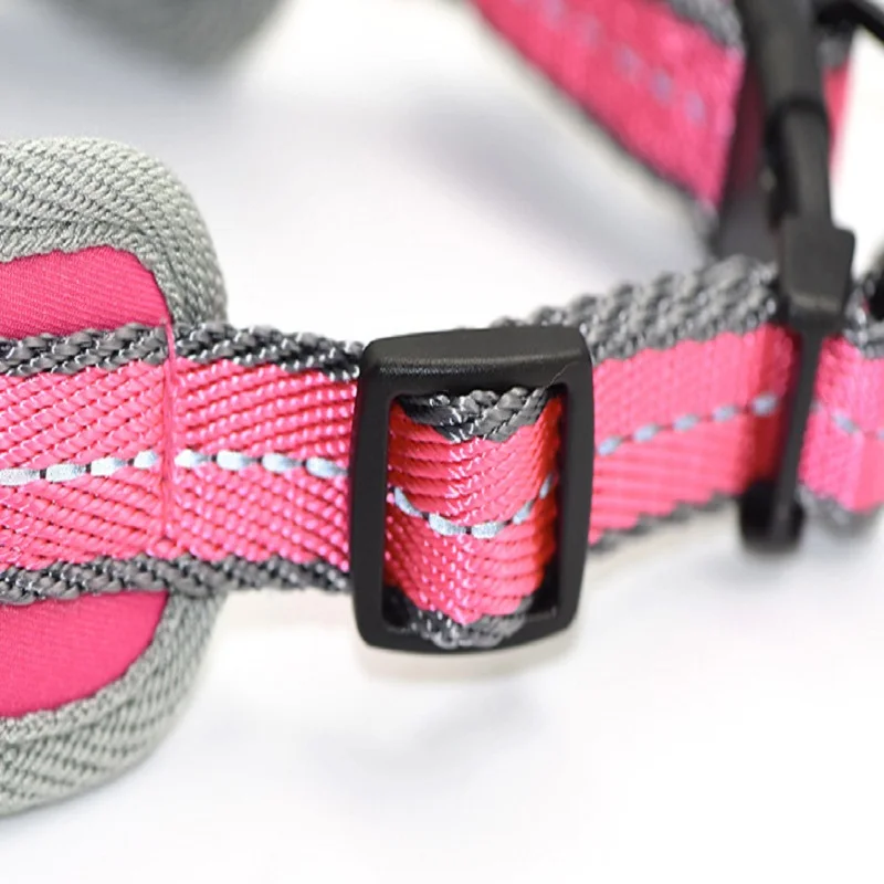 Dog leash dog collar pet supplies