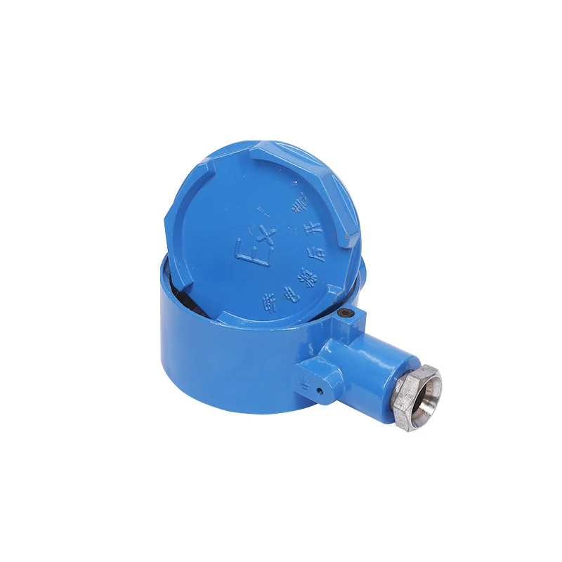  Manufacturer sells blue flat explosion-proof thermocouple junction box ex shell sensor