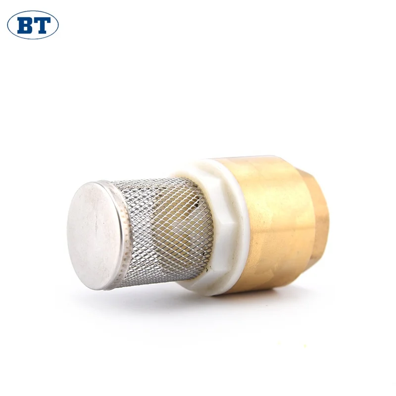 BT5003 China supplier online shop cheap price brass spring check valves with ss wall