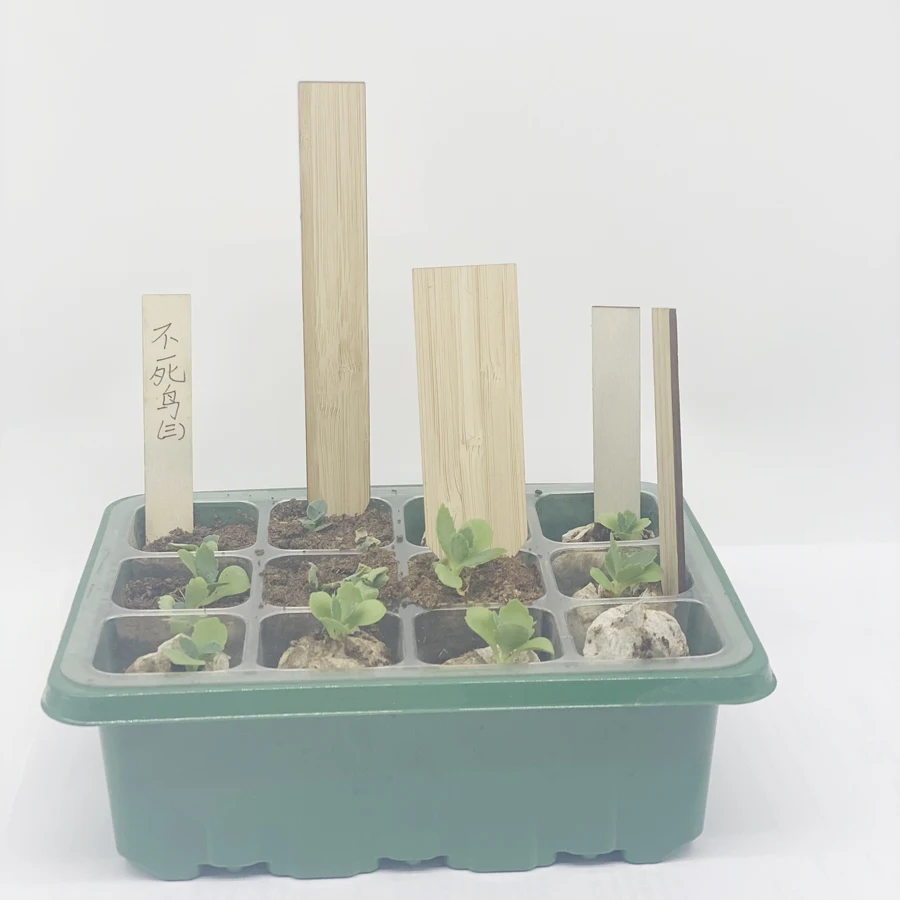 Customized Shaped  Gardening Insert Wood Strip with Marker