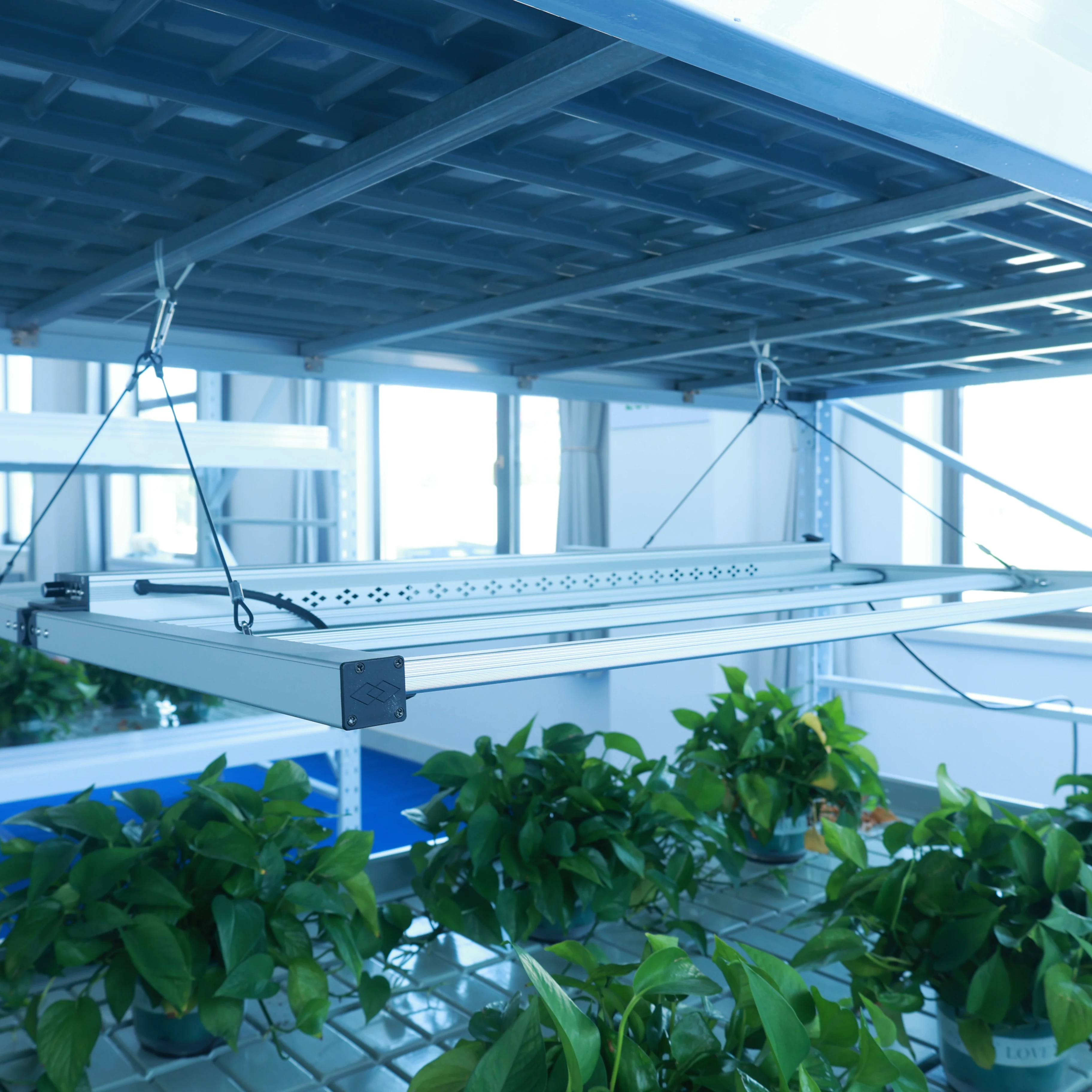 Plastic Film Greenhouse Agricultural Greenhouses Vertical Farm Hydroponic Tower Greenhouse Seedbed