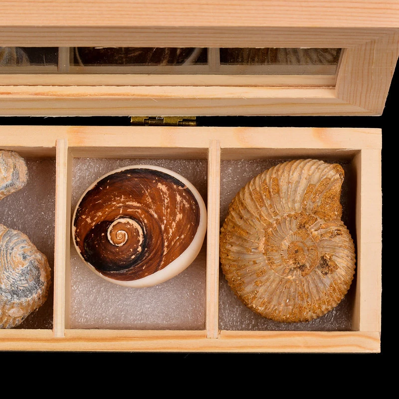 Tea gift packaging wooden box chocolate luxury wooden box