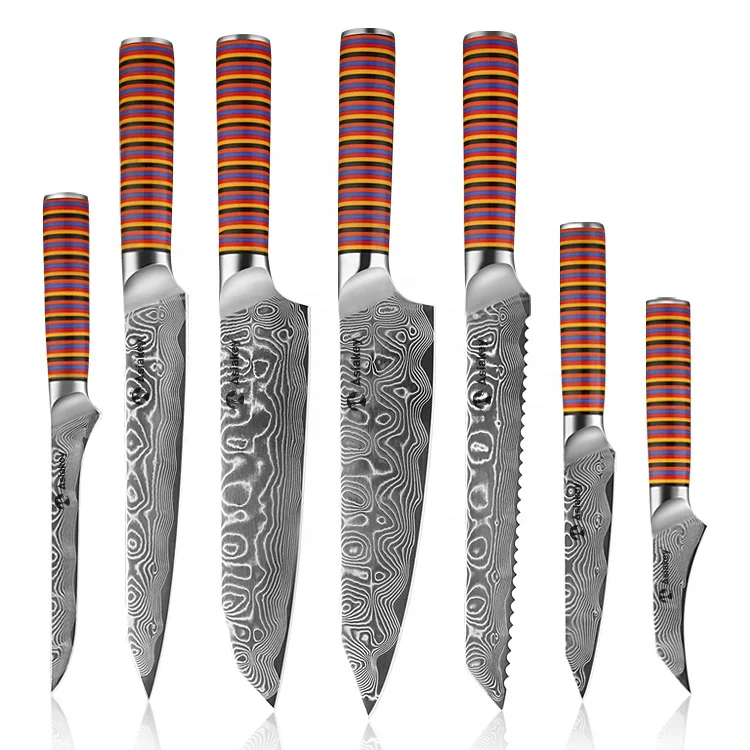 New Arrival Shogun Collection 67 Layer Japanese VG10 Steel  6 Piece Damascus Steel Kitchen Knife Set with Color G10 Handle