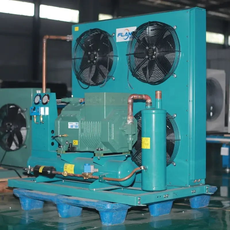 Single Phase Gas R404 Bitze Refrigeration Compressor 25hp 20hp 30hp 15hp 12hp 10hp Freezer Cold Room Industrial Condensing Unit