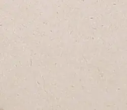 Top Bagasse Eco-friendly Biodegradable Disposable 2oz Cup Sauce cup