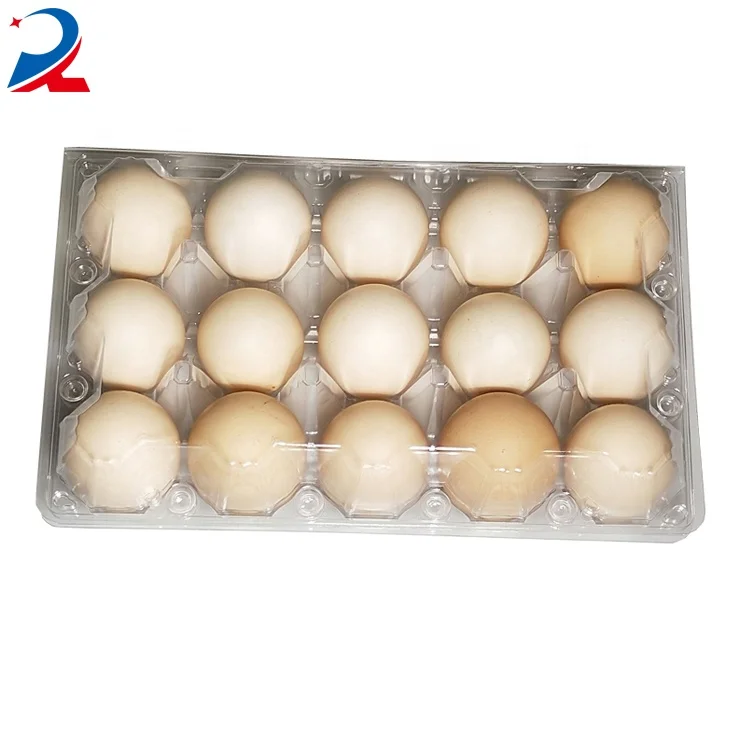 Hot sale blister pack dumpling tray plastic transparent tray plastic