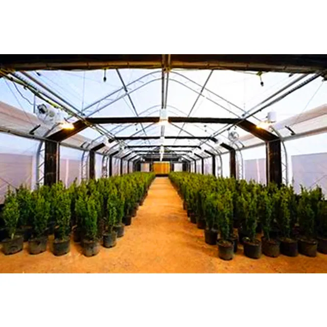 Commercial Used Blackout Greenhouse With Auto Light Deprivation System For Growing Hemp/Herbs