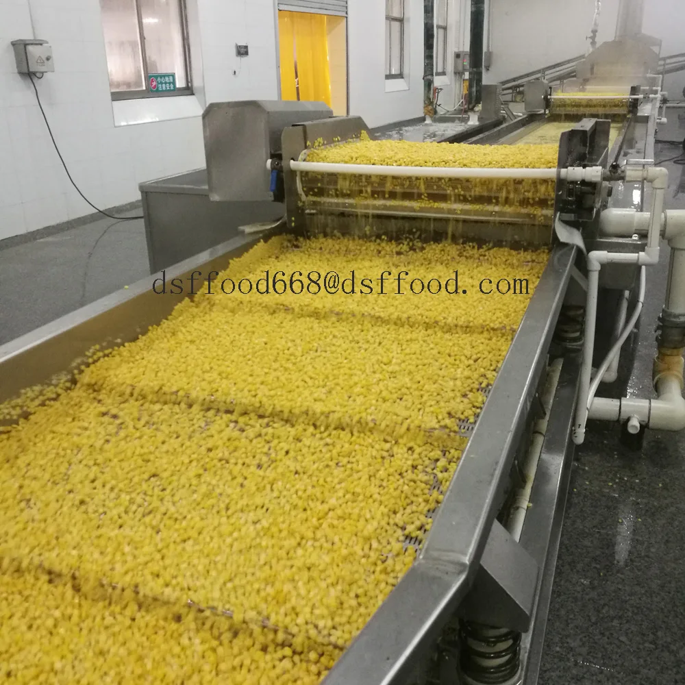HACCP китайские Высококачественные Новые корповые Замороженные ядра сладкой кукурузы