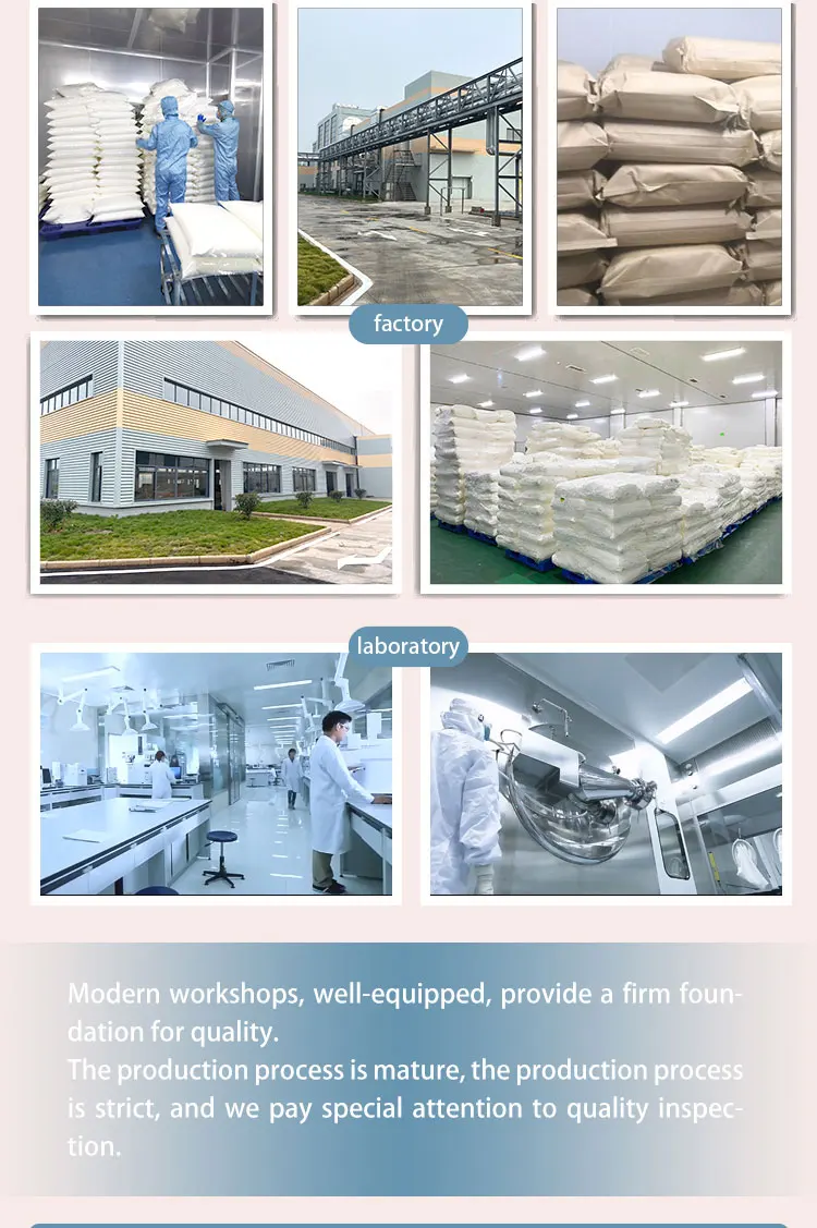 Freeze Dry Fruit Mango Trending Products 2024 New Arrival Freeze Dried Fruit