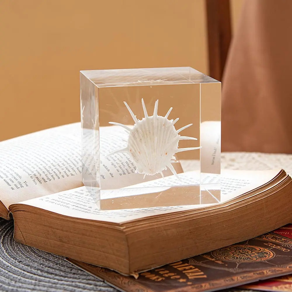 Solar Table  Solar System Shape Round Ring Model Best Quality Table Ware For Home  Living Room Decor