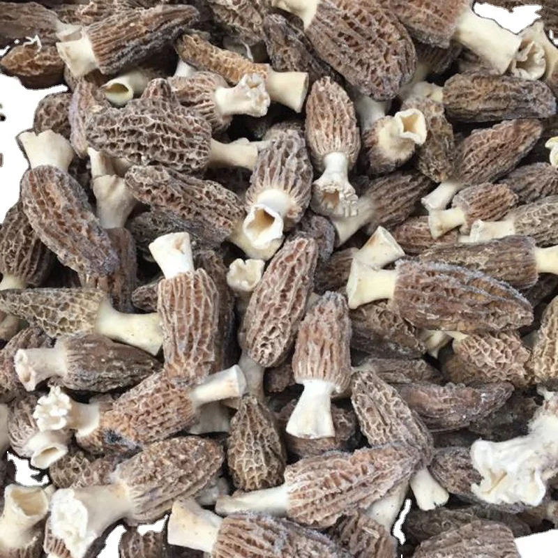 china export frozen wild mushroom price of frozen black morel mushroom