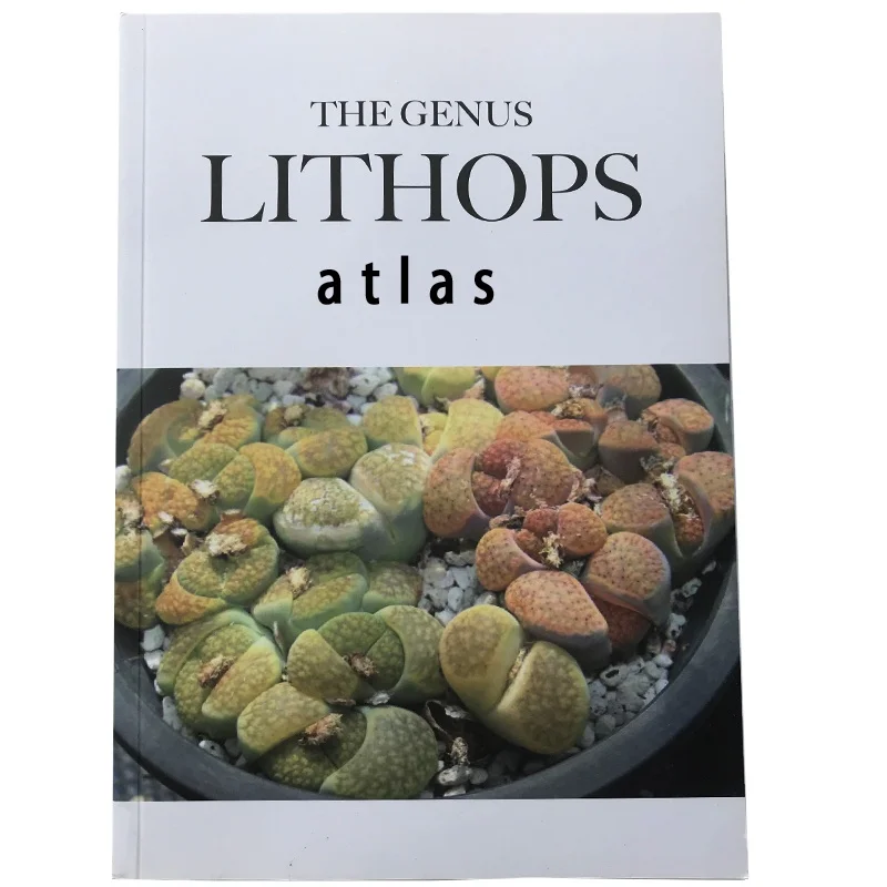 
lithops name book Graphic interpretation Aizoaceae Lithops magazine 