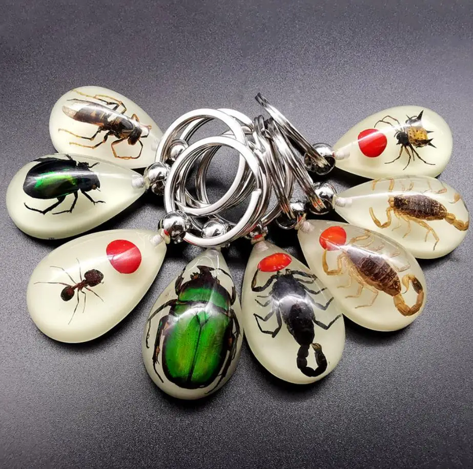 Wholesale Acrylic Plastic KeyChain Accessories Real Insect Inside Epoxy Resin Key Ring Amber Key Chain