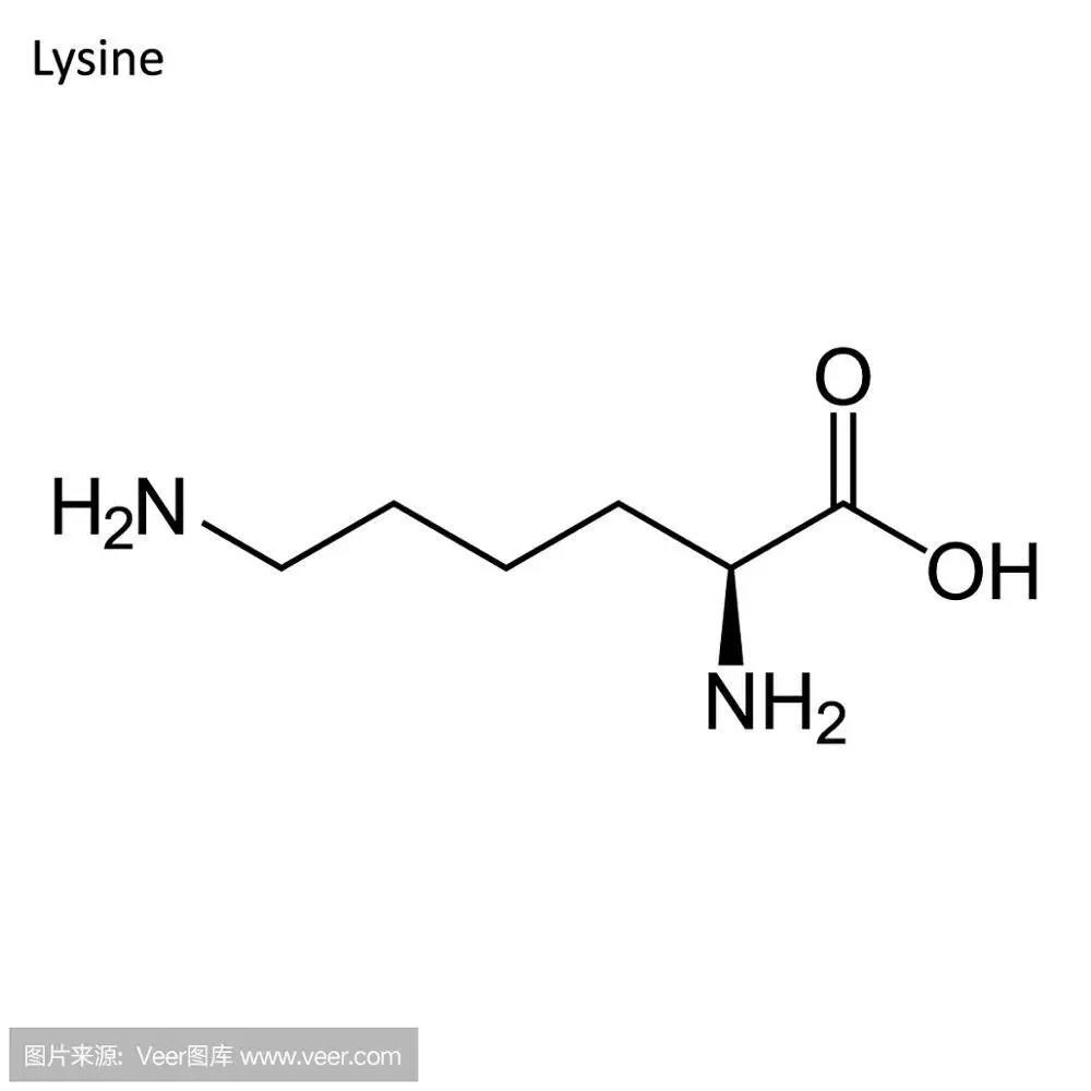 low price l-lysine 98.5%, high quality