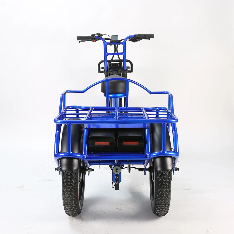 2024 Newest Electric Tricycle Long Driving Range 2 Motors 2 Battery Electric Three Fat Wheel Cargo Bike