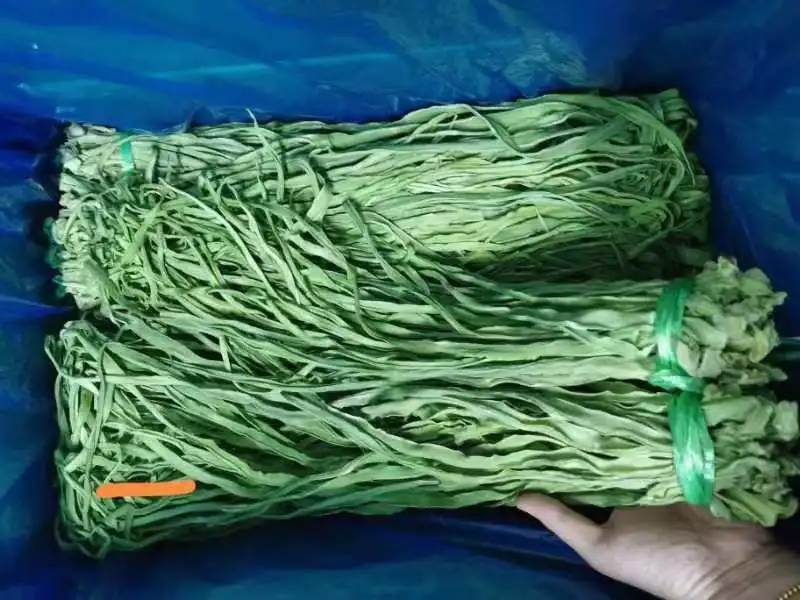 Сушеный горный желе Овощной сушеный сельтуз Yamakurage