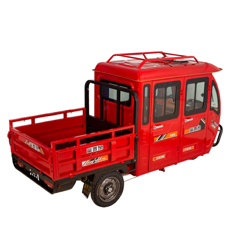 Hot Sell 2  Driver Cab and Hight Load Capacity Tricycle Enclosed Adult 3 Wheels E-rickshaw for Adult Electric Tricycle